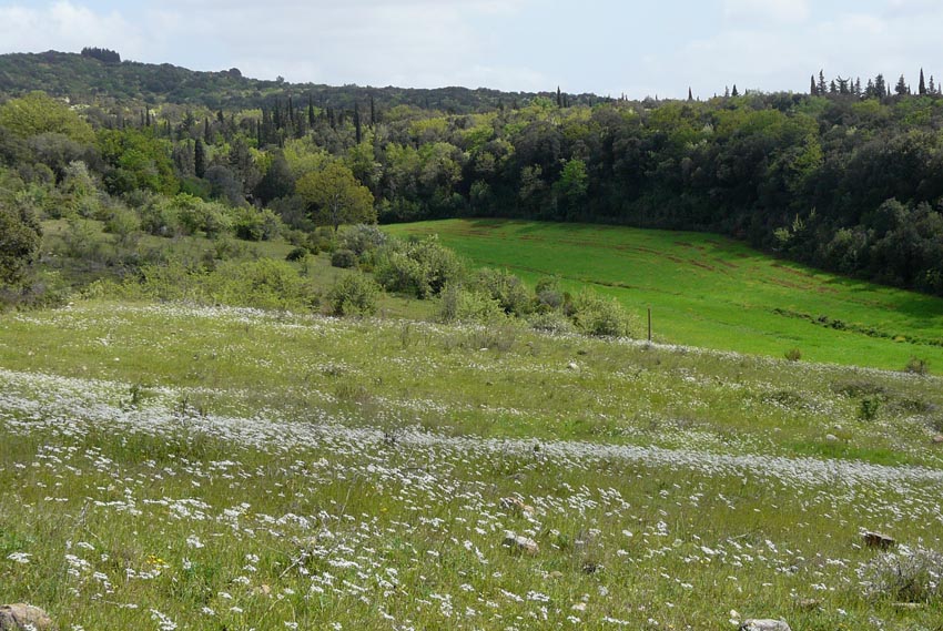 In un podere vicino Massa Marittima (GR)